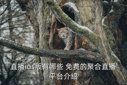 直播ios版有哪些 免费的聚合直播平台介绍