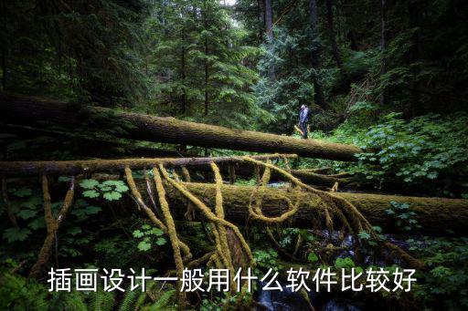 时尚插画书排版软件哪个好，图书排版用什么软件好