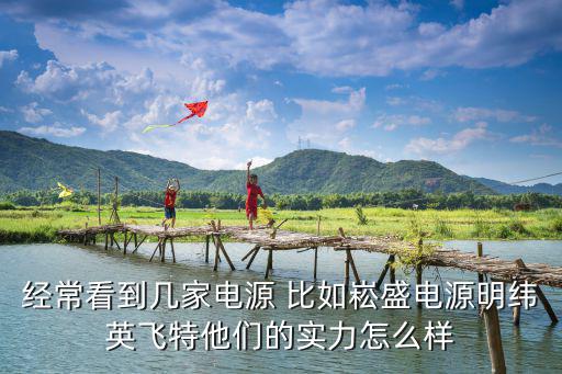 经常看到几家电源 比如崧盛电源明纬英飞特他们的实力怎么样
