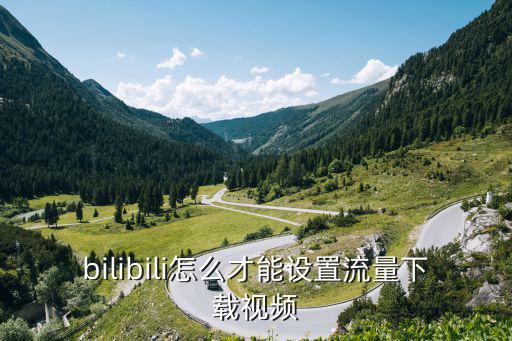 bilibili怎么才能设置流量下载视频