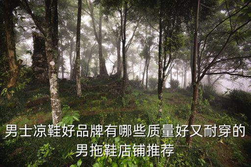时尚男士凉鞋哪个牌子的好，男士凉鞋品牌哪个好