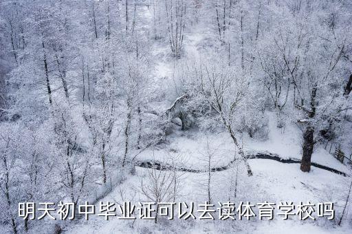初中毕业能上体校吗，请问初中毕业可以上体校吗个人文化成绩比较弱但是体育成绩比