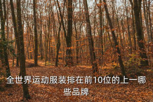 运动服国际品牌排行榜前十名，全世界运动服装排在前10位的上一哪些品牌
