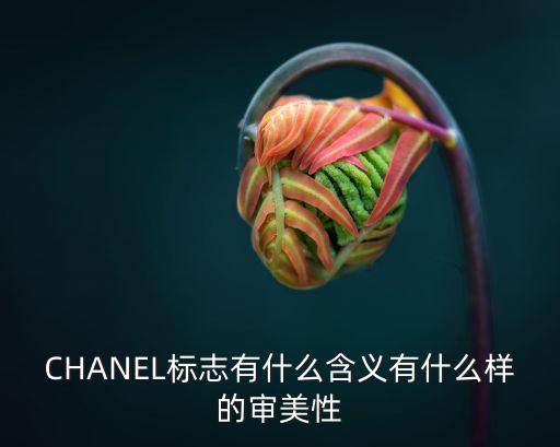 CHANEL标志有什么含义有什么样的审美性