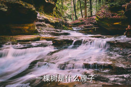 标志像三棵树的户外品牌有哪些，图案三棵树是什么牌子手表