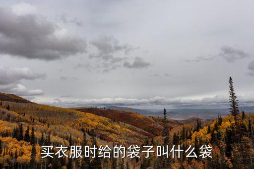 时尚大袋子叫什么，这种蓝色的大袋子叫什么名字