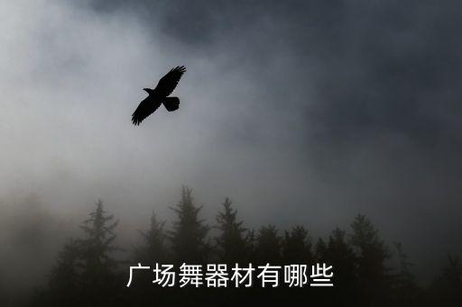 广场健身器材，上海莘庄南广场的仲盛广场有卖健身器材吗