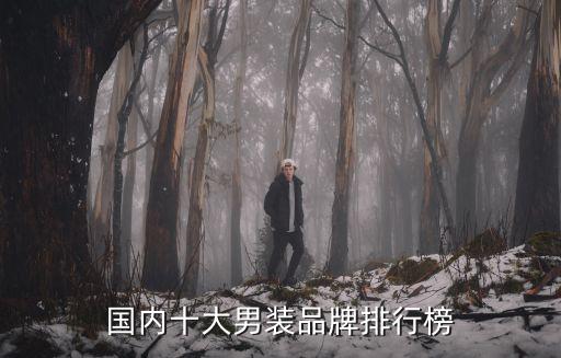 国内十大男装品牌排行榜