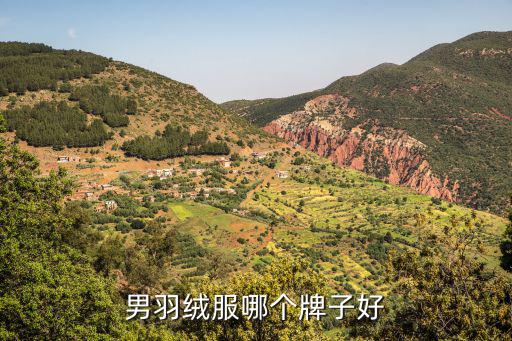 男羽绒服哪个牌子好