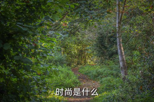 时尚是什么