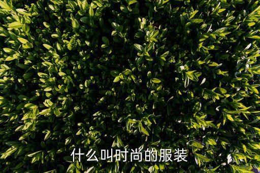 时尚套装是什么，现代时尚的是什么服装