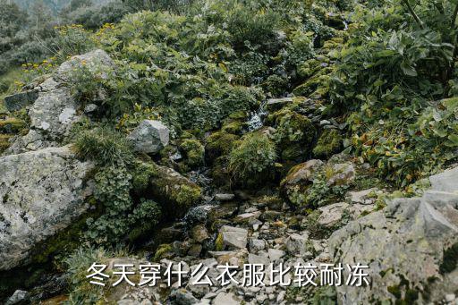 冬天穿什么衣服比较耐冻