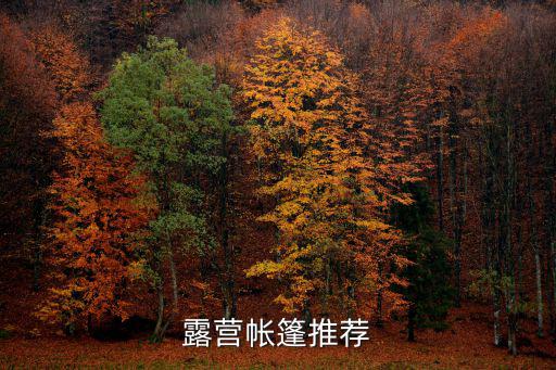 露营帐篷推荐