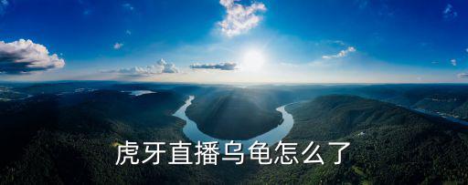 虎牙直播乌龟怎么了
