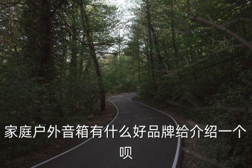 家庭户外音箱有什么好品牌给介绍一个呗