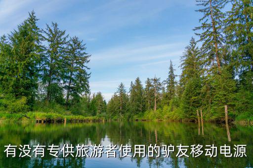 有没有专供旅游者使用的驴友移动电源