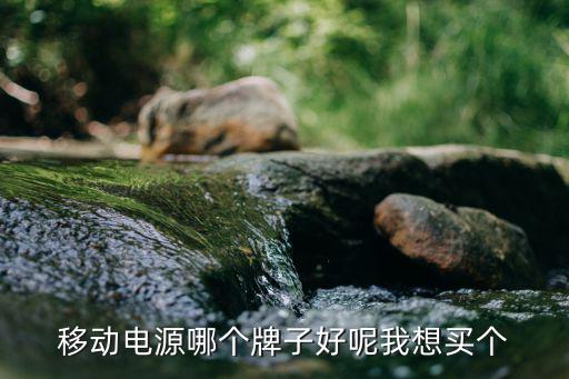 移动电源哪个牌子好呢我想买个