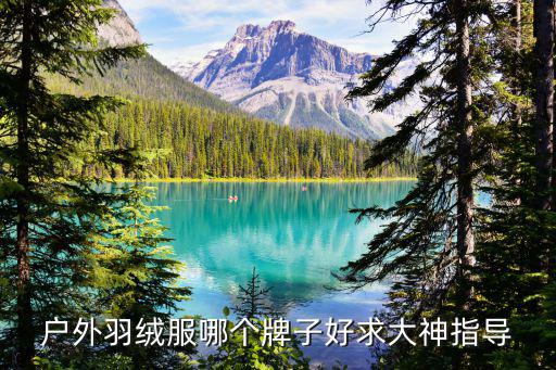 户外羽绒服哪个牌子好求大神指导