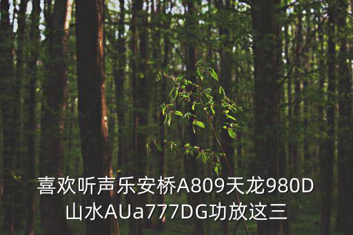 山水功放机最顶级的是哪款，喜欢听声乐安桥A809天龙980D山水AUa777DG功放这三