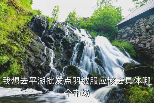 平湖羽绒服批发市场男装，这里有羽绒服便宜的批发 是不是真的 平湖市羽王服饰商行 大家帮忙看