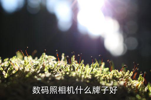 相机什么牌子时尚，我想买个单反相机什么牌子好