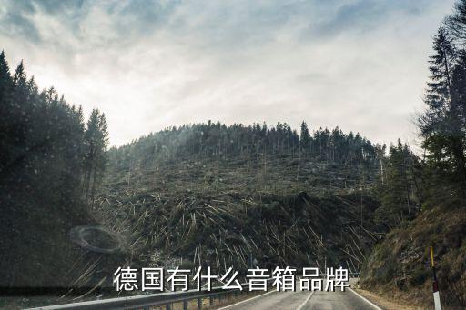 德国有什么音箱品牌