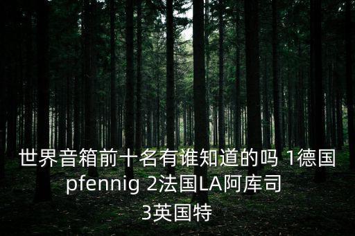 世界音箱前十名有谁知道的吗 1德国pfennig 2法国LA阿库司 3英国特
