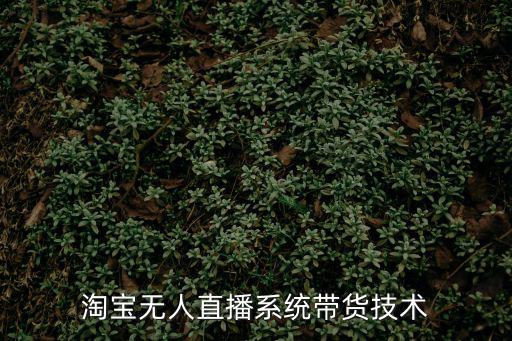 淘宝无人直播系统带货技术