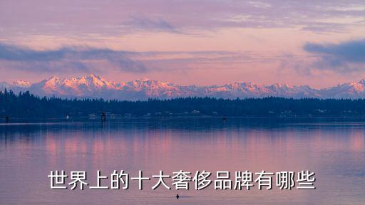 世界上的十大奢侈品牌有哪些