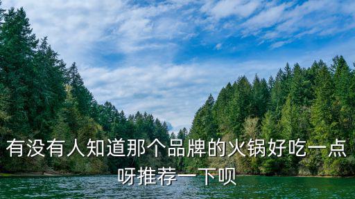 有没有人知道那个品牌的火锅好吃一点呀推荐一下呗