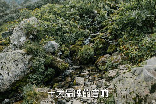 十大品牌的音响