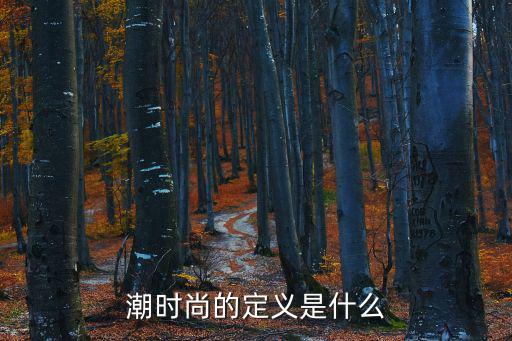 潮时尚的定义是什么