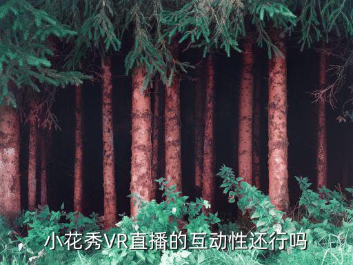 小花秀VR直播的互动性还行吗