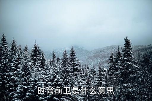 时尚前卫是什么意思