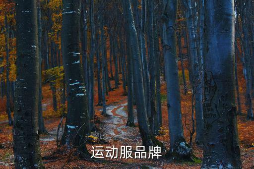 运动服品牌