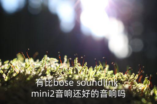 有比bose soundlink mini2音响还好的音响吗