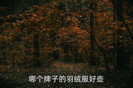 哪个牌子的羽绒服好些
