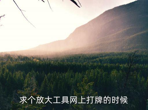 春雨打扑克直播软件app开发，求个放大工具网上打牌的时候