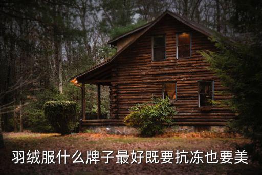 羽绒服什么牌子最好既要抗冻也要美