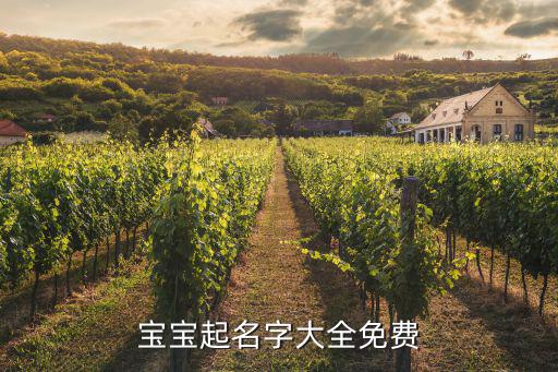 宝宝起名字大全免费