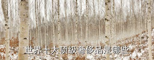 世界十大顶级奢侈品是哪些