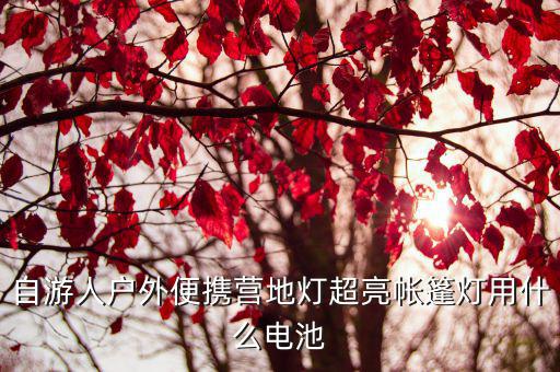 自游人户外便携营地灯超亮帐篷灯用什么电池