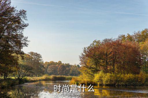 时尚是什么
