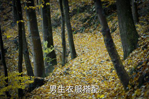 校园时尚男装搭什么，男生衣服搭配