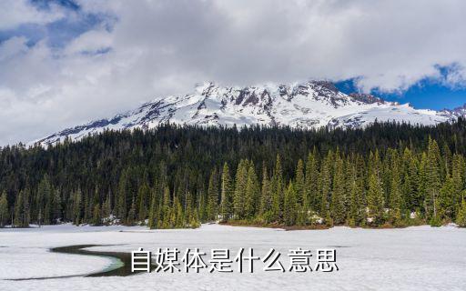 自媒体是什么意思