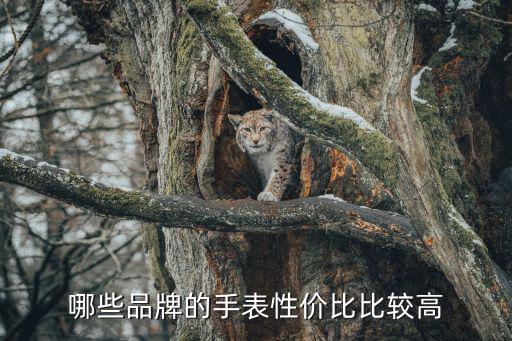 哪些品牌的手表性价比比较高