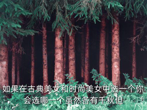 摩登时尚和古典哪个好看，你认为时尚与经典谁更美