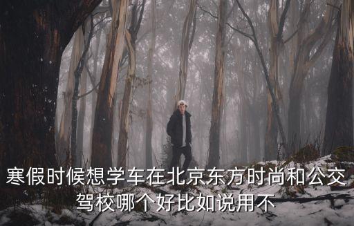 寒假时候想学车在北京东方时尚和公交驾校哪个好比如说用不