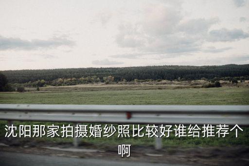 沈阳那家拍摄婚纱照比较好谁给推荐个啊