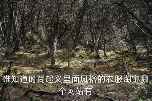 有哪个网站和时尚起义类似，谁知道时尚起义里面风格的衣服淘宝哪个网站有